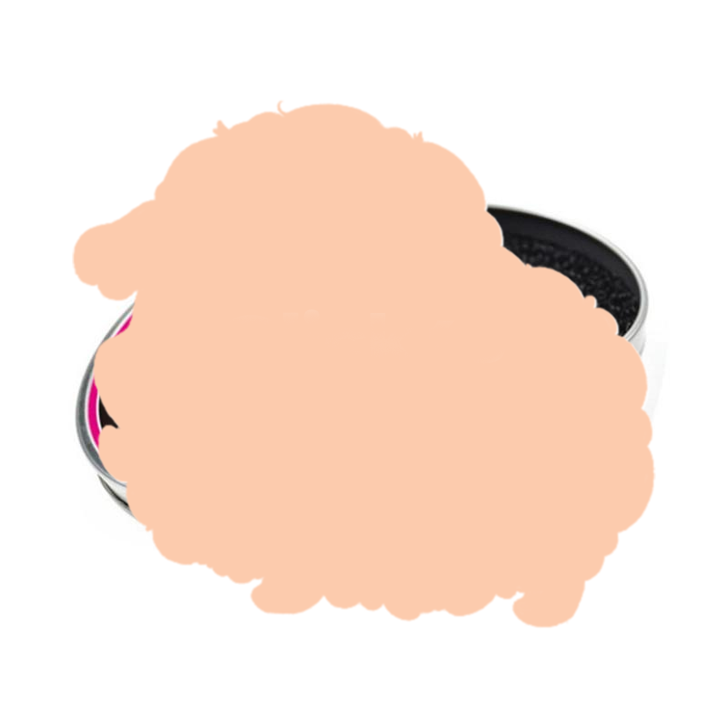 Éponge nettoyante pour pinceau - Beauty Makeup Case avis et prix